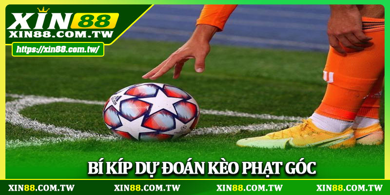 Bí kíp dự đoán kèo phạt góc giỏi như chuyên gia
