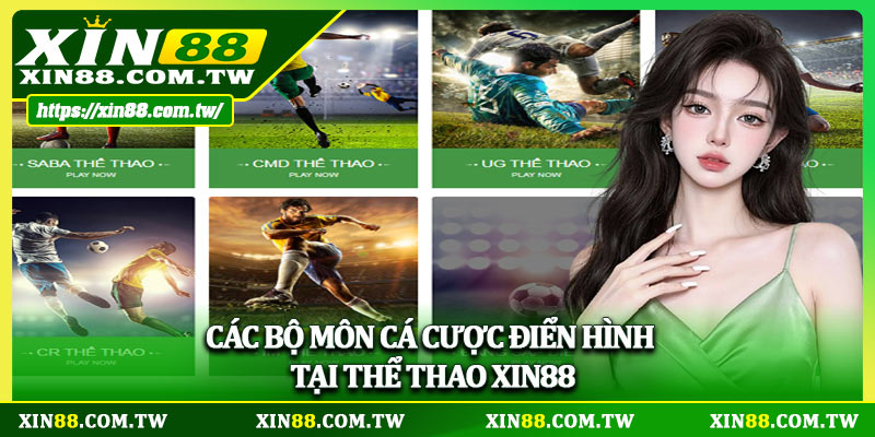Các bộ môn cá cược điển hình tại thể thao Xin88