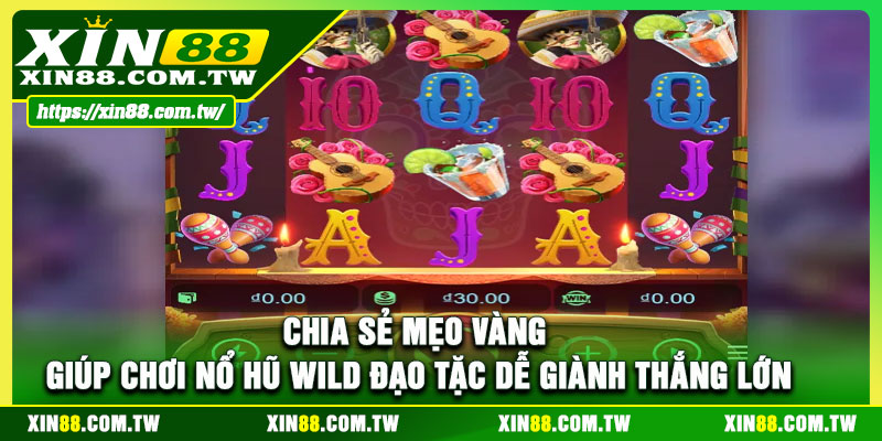 Chia sẻ mẹo vàng giúp chơi nổ hũ Wild đạo tặc dễ giành thắng lớn