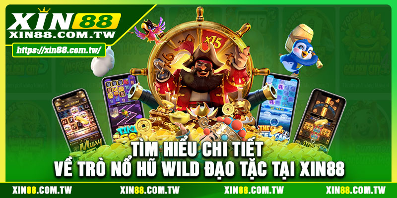 Tìm hiểu chi tiết về trò nổ hũ Wild đạo tặc tại XIN88