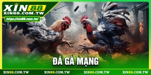 Đá Gà Mạng